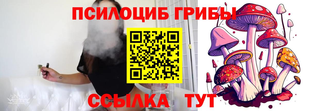 Псилоцибиновые грибы прущие грибы  Галлюциногенные грибы мухоморы  Вход с VPN  Сегежа 